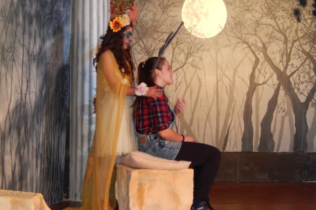 Όνειρο18 Όνειρο καλοκαιρινής νύχτας